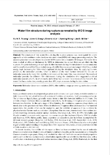 Water film structure during rupture as revealed by MDS image analysis