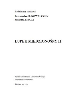 Łupek miedzionośny II