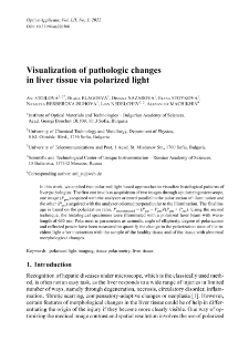 Visualization of pathologic changes in liver tissue via polarized light