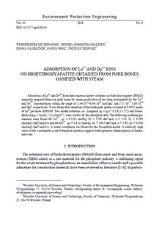 Adsorption of La3+ and Dy3+ ions on biohydroxyapatite obtained from pork bones gasified with steam