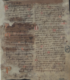 [Cronica Wislicensis 1079-1445]